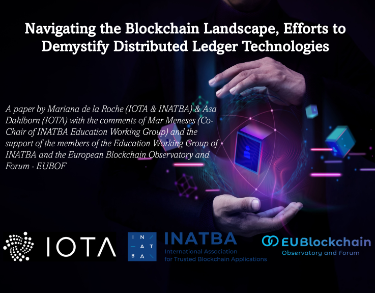 Navigating the Blockchain Landscape, Efforts to Demystify Distributed Ledger Technologies